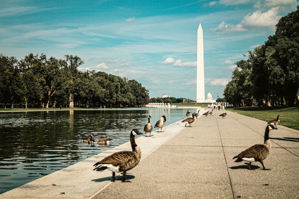 hoteles de Washington